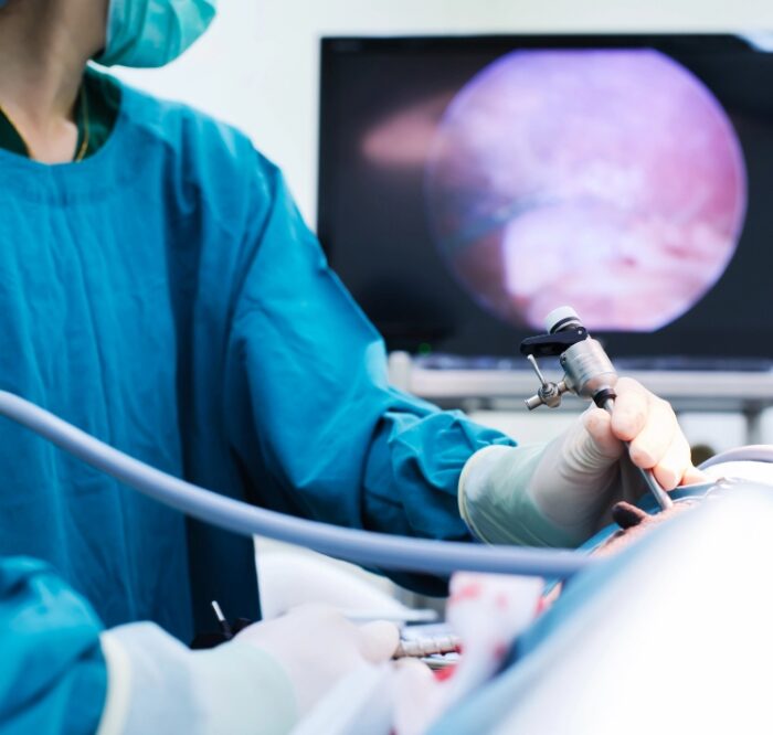 Surgeon using tool to examine pet.