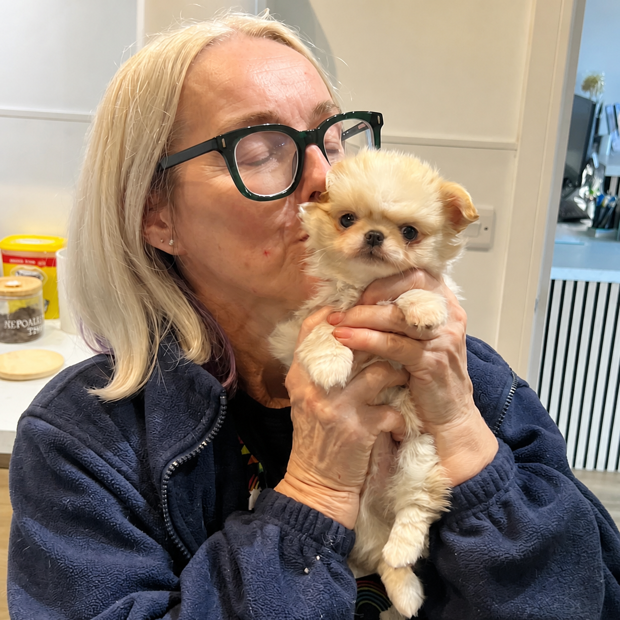 A puppy being cared for by the Surrey Family Vets team