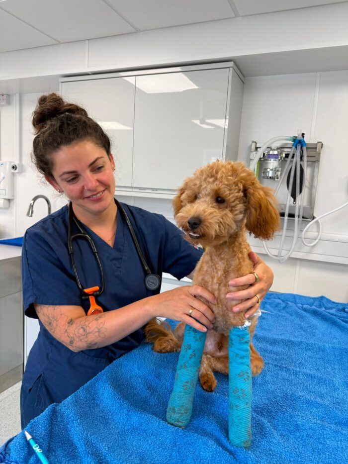 Comprehensive Care, Right Here in Guildford