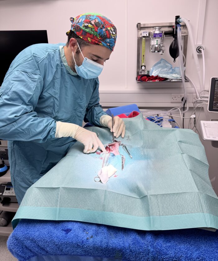 Advanced Surgery for Pets, with our vet Marcos