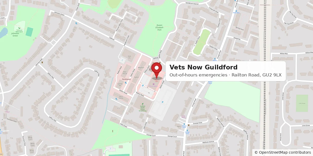 vets-now-guildford-map Map showing Vets Now Guildford, our out-of-hours emergency provider, at Unit B Queen Elizabeth Park, Railton Road, Guildford GU2 9LX